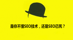 <b>是你不懂SEO技术，还是SEO已死？</b>