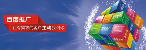 企业网站推广策划方案