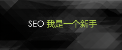 <b>个人SEO职业发展规划，应该注意几个问题？</b>