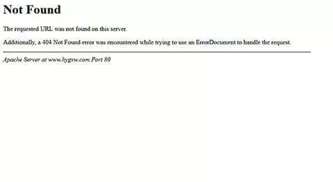 SEO专业名词：404页面