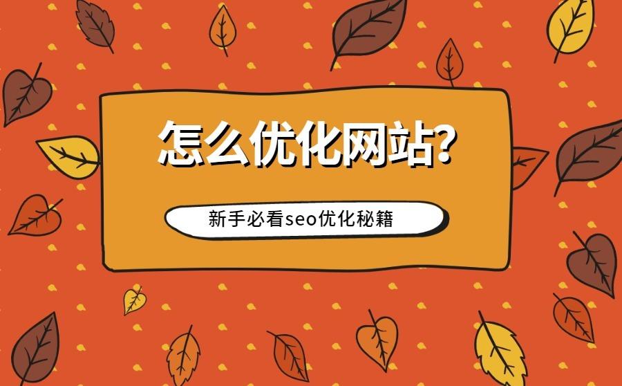 <b>怎么优化网站？新手必看seo优化秘籍</b>