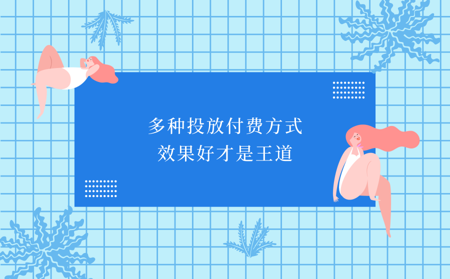 多种付费方式