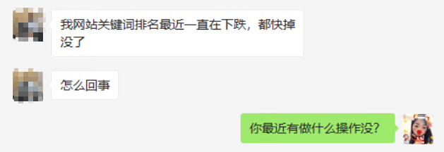 网站排名下降