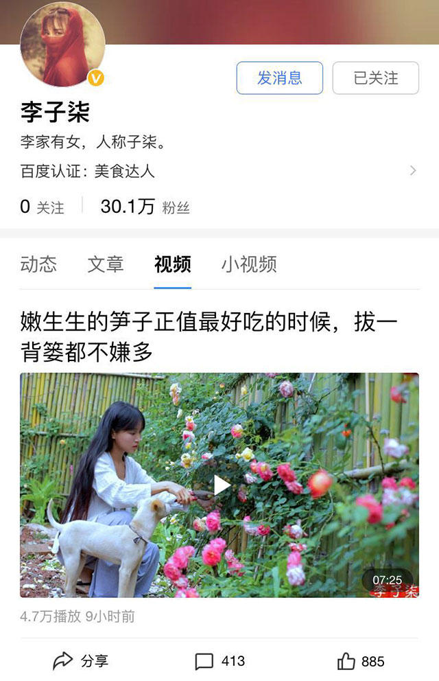 美食博主李子柒