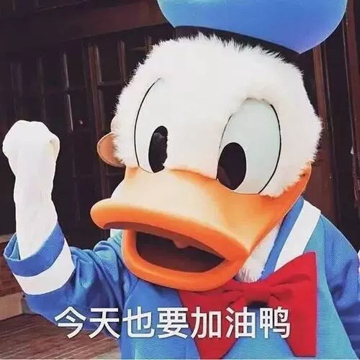 干货