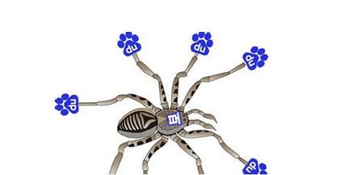 网站结构抓取的seo诊断技巧