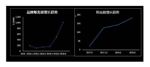 熊掌号运营之后的品牌曝光和粉丝增长图