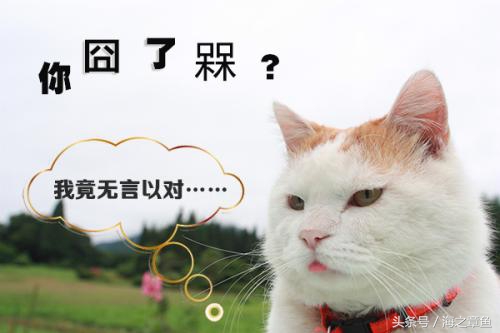 2019骞存媶鎴胯禂鍋挎槑缁嗚〃涓存矀(2019骞存媶鎴胯禂鍋挎槑缁嗚〃鍐滄潙)