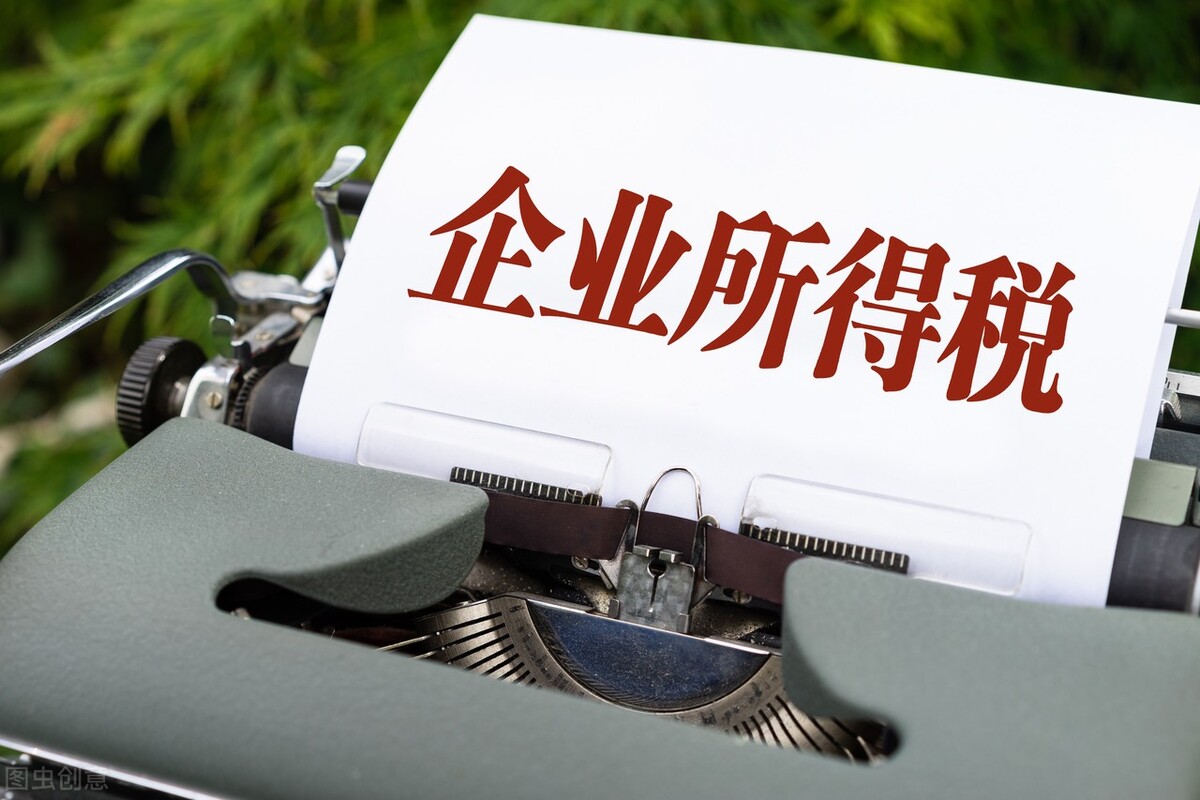 一般纳税人返税政策（返税政策的标准）