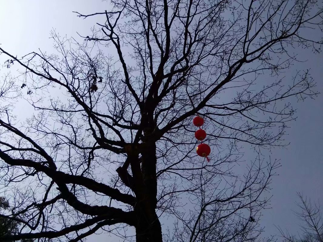 个人合作建房如何合法(个人合作建房协议书)