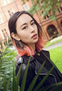 h d是什么意思(h 是什么奢侈品牌)