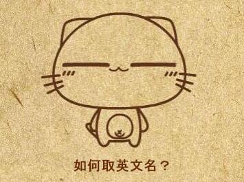 lynn美妆课堂(lynn什么意思)