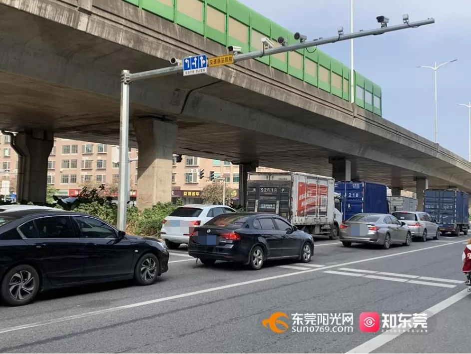 东莞阳光网违章查询