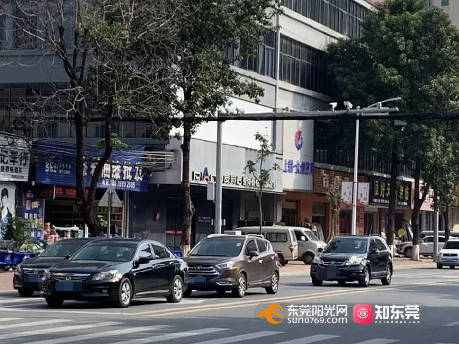 东莞阳光网违章查询