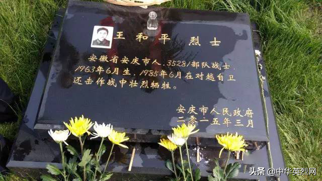 《家书》胡凯(家书胡凯阅读及答案)