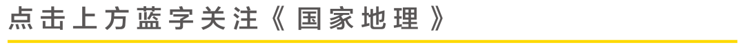 上古神树若木的花(上古神树小说)