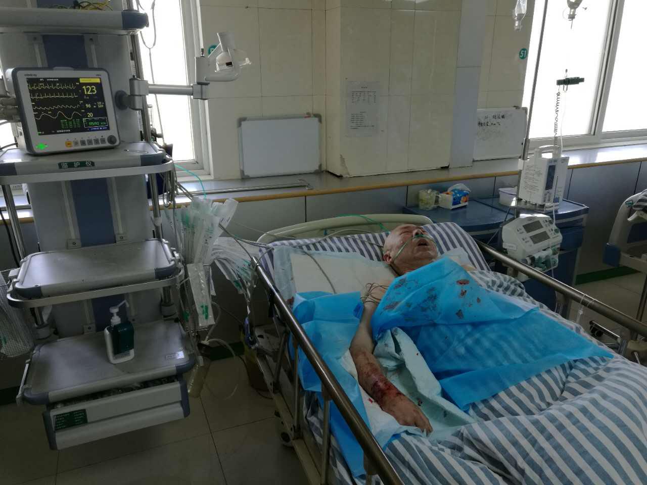 上海岳阳医院在什么地方(北京精品獒园)