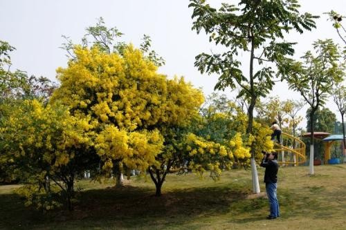 万芳得精油(万芳得精油怎么样)