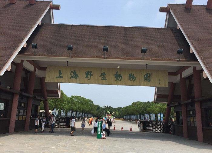 上海周边自驾攻略(上海自驾游路线推荐)