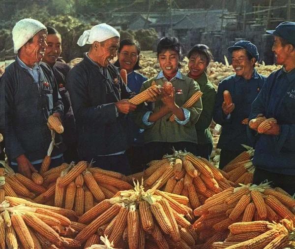 伟大的第一步——中国农村改革起点实录。（三）