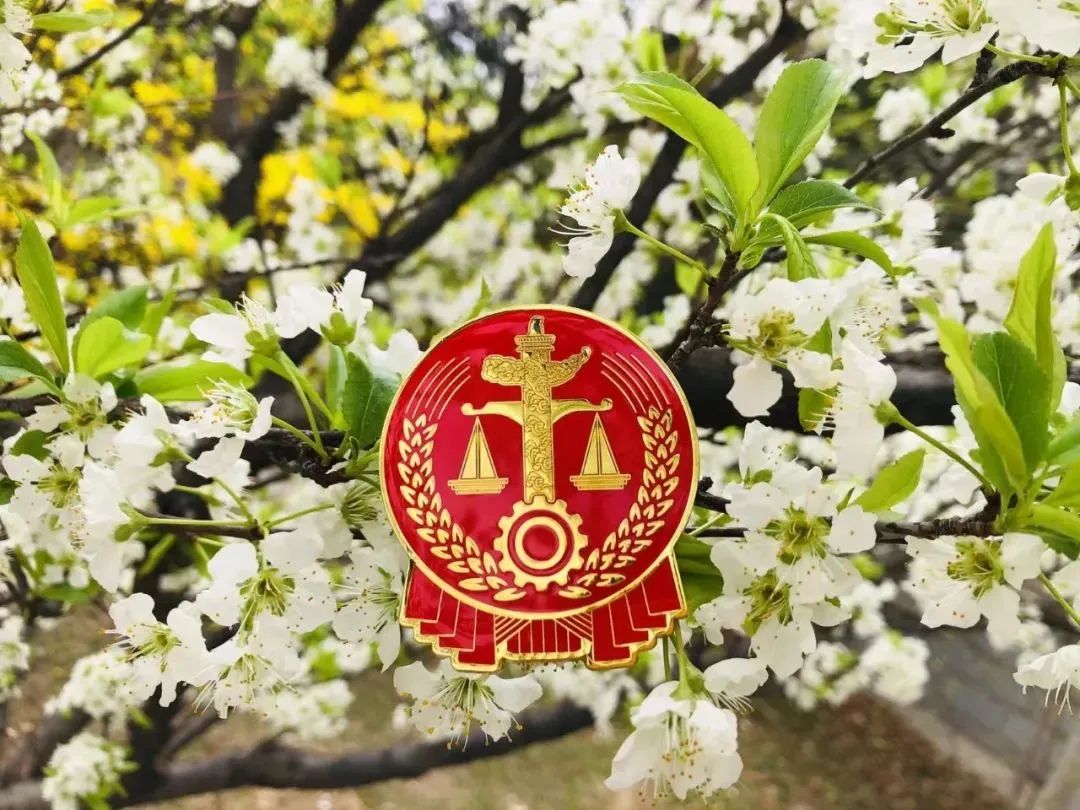 芳菲四月，春意正酣丨“天平杯·随手拍”大赛作品展播
