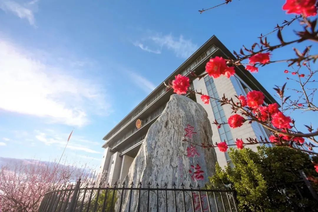 芳菲四月，春意正酣丨“天平杯·随手拍”大赛作品展播