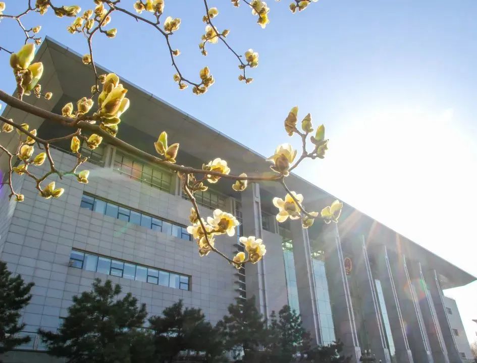 芳菲四月，春意正酣丨“天平杯·随手拍”大赛作品展播