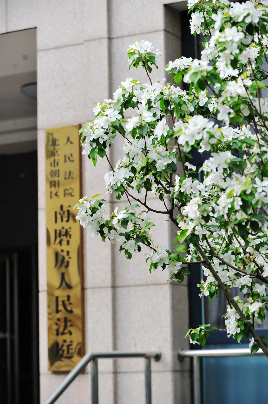 芳菲四月，春意正酣丨“天平杯·随手拍”大赛作品展播