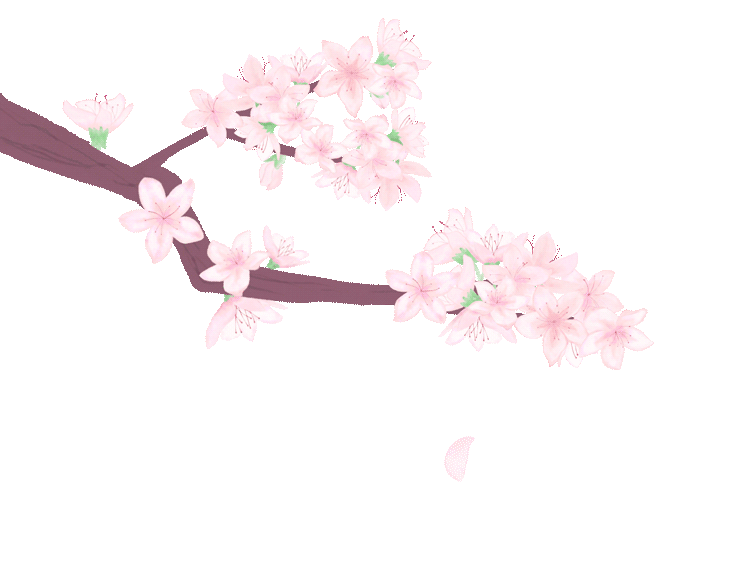 芳菲四月，春意正酣丨“天平杯·随手拍”大赛作品展播