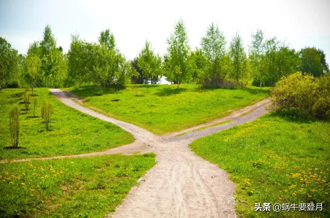 普通人做自媒体的机会来了，这些领域，就是下一个金矿