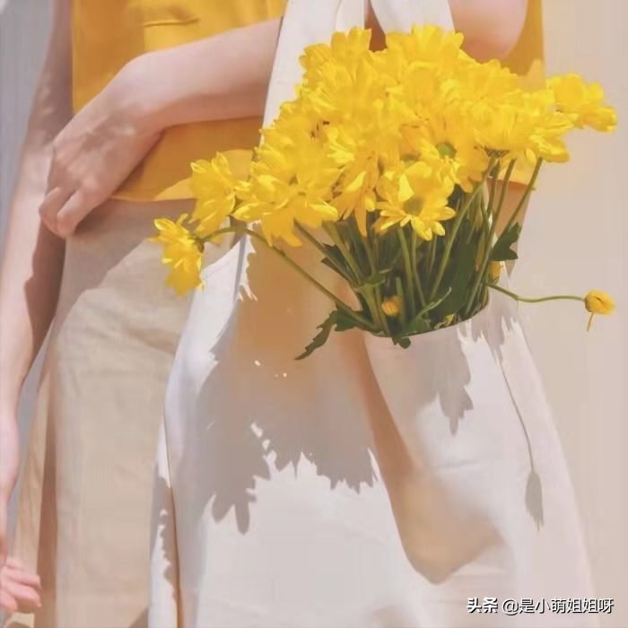 你为什么做不好自媒体，因为你太老实了
