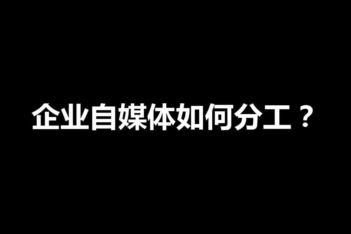 企业自媒体如何分工？