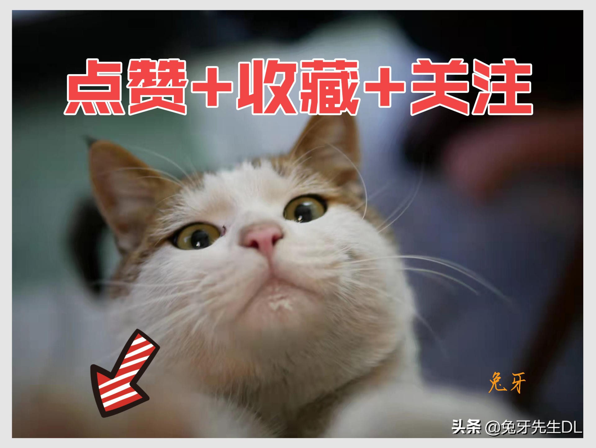 理性分析如何选择Switch的外接屏幕，入手泰坦军团38.5英寸显示器