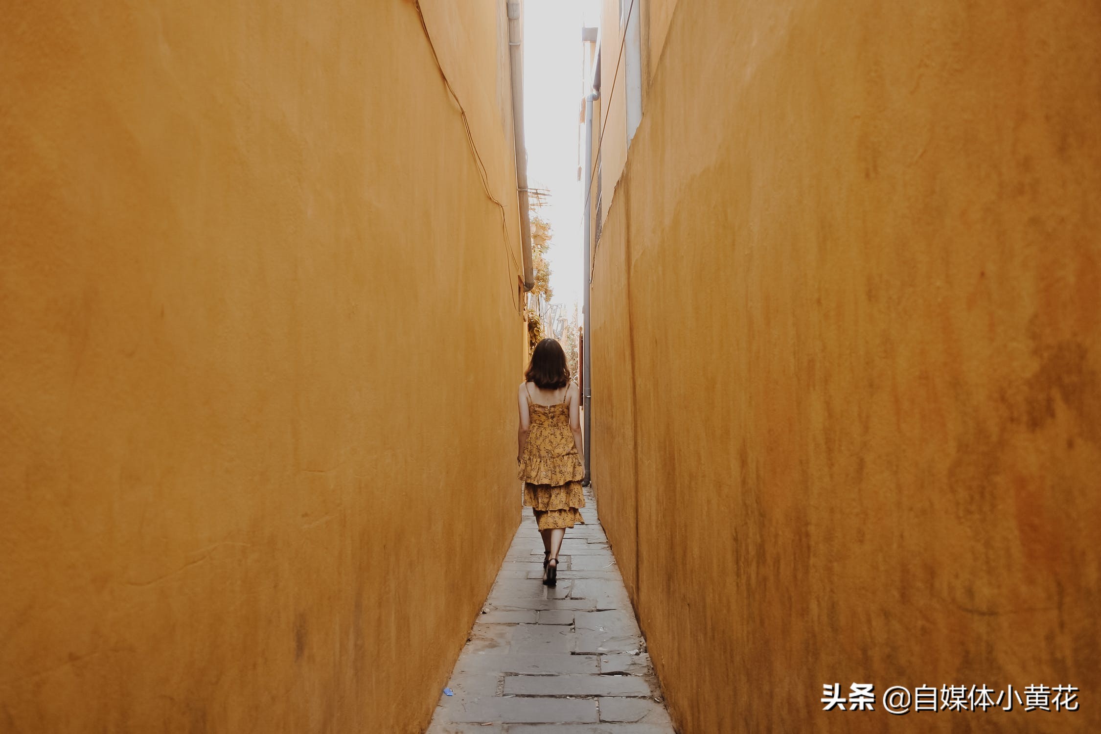 现在自媒体平台有哪些？哪几个平台更容易赚钱？