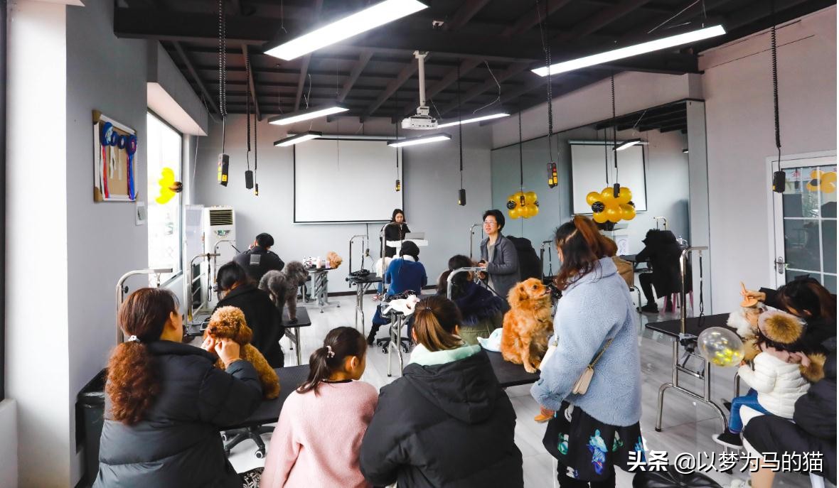 高考结束不读大学，女生可以学这6类技术，学时短，很好就业