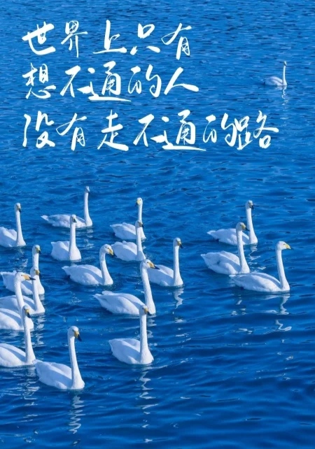 视频剪辑实操