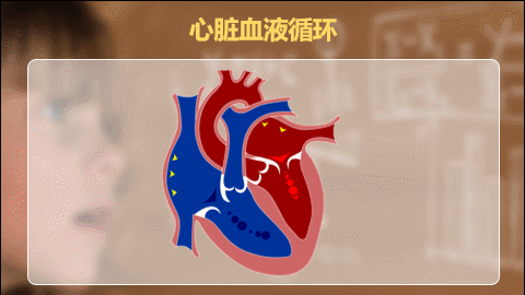 6类硬核技能：课件型PPT，如何快速圈粉你的学生呢？
