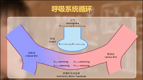 6类硬核技能：课件型PPT，如何快速圈粉你的学生呢？