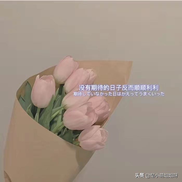 从50元到2000元，我的稿费翻了40倍，一学就会的赚钱方法