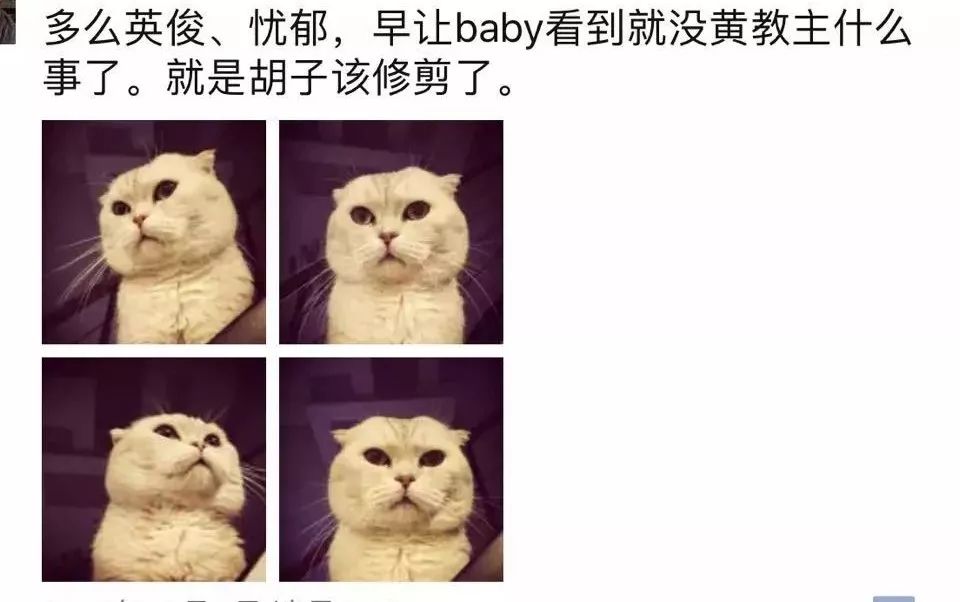 LOOK严明：从古代文学到电商创业，融资2200万美元做自媒体电商合伙人｜浑水独家
