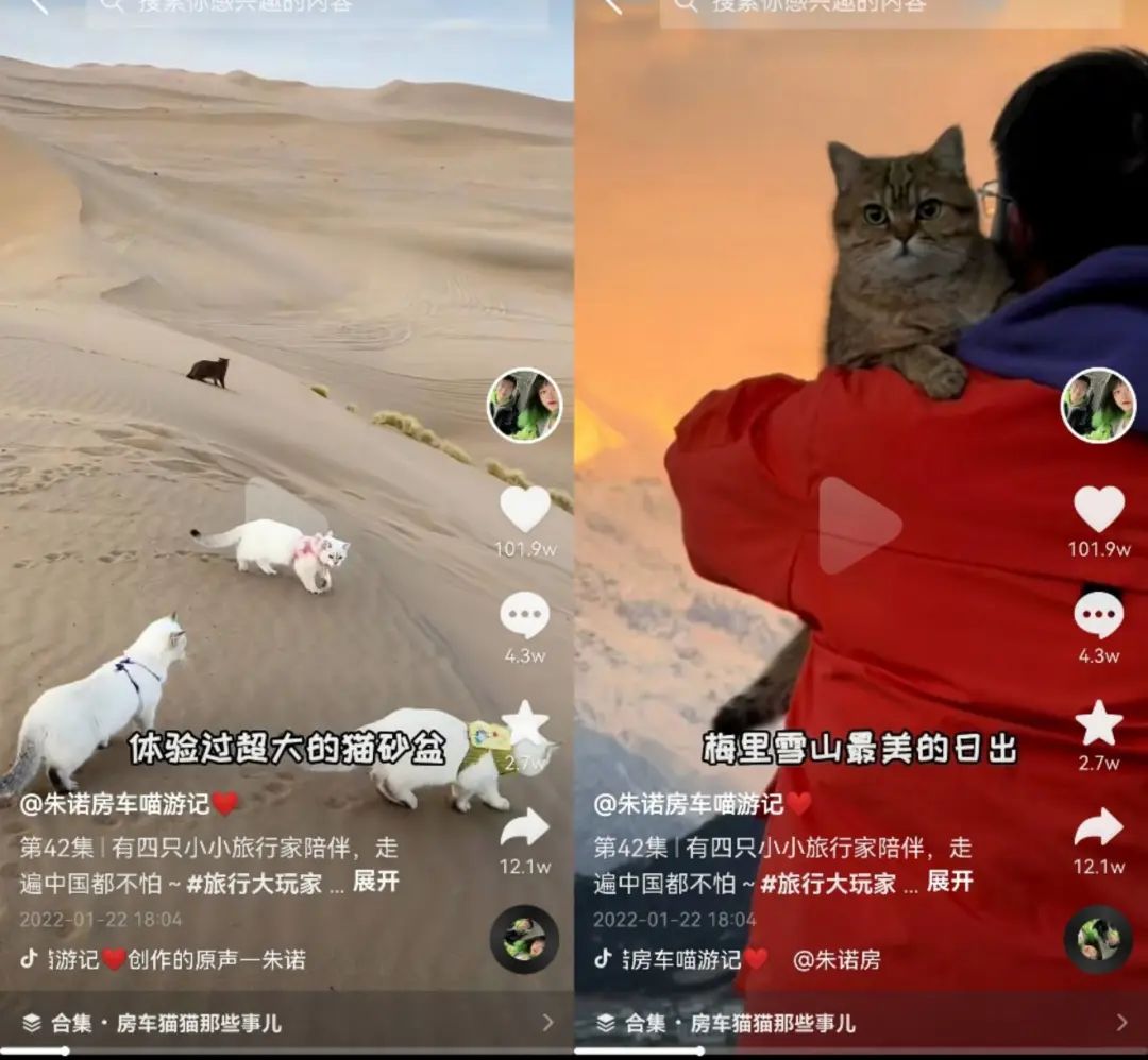 300亿播放背后，房车生活正成为一门新生意