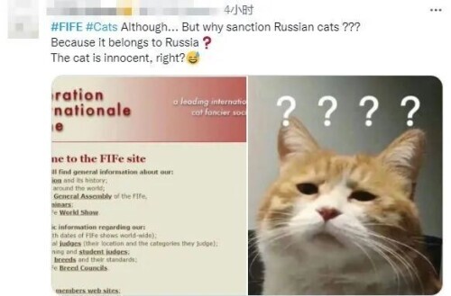 制裁俄罗斯猫和树以及芭蕾舞，连柴可夫斯基也不放过！网友：连呼吸都有错？