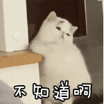 制裁俄罗斯猫和树以及芭蕾舞，连柴可夫斯基也不放过！网友：连呼吸都有错？