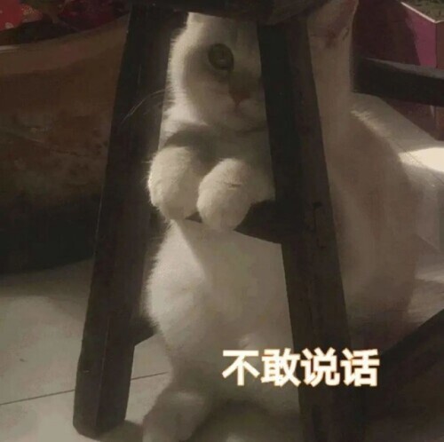 制裁俄罗斯猫和树以及芭蕾舞，连柴可夫斯基也不放过！网友：连呼吸都有错？