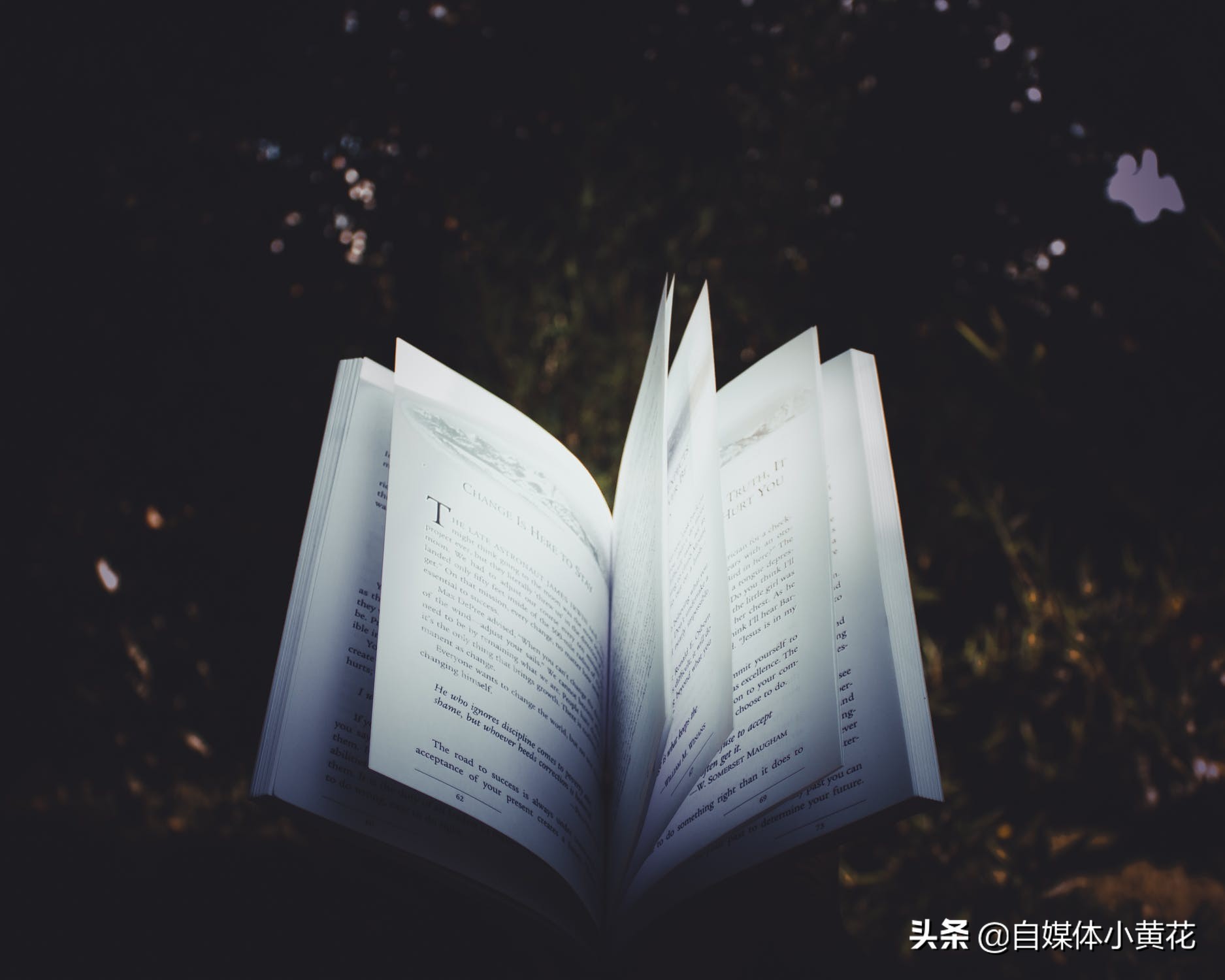 自媒体视频素材哪里找？易撰帮你快速下载素材