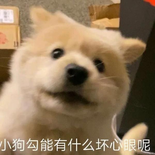 注意！下周上班时间有变，广东多地最新通告→