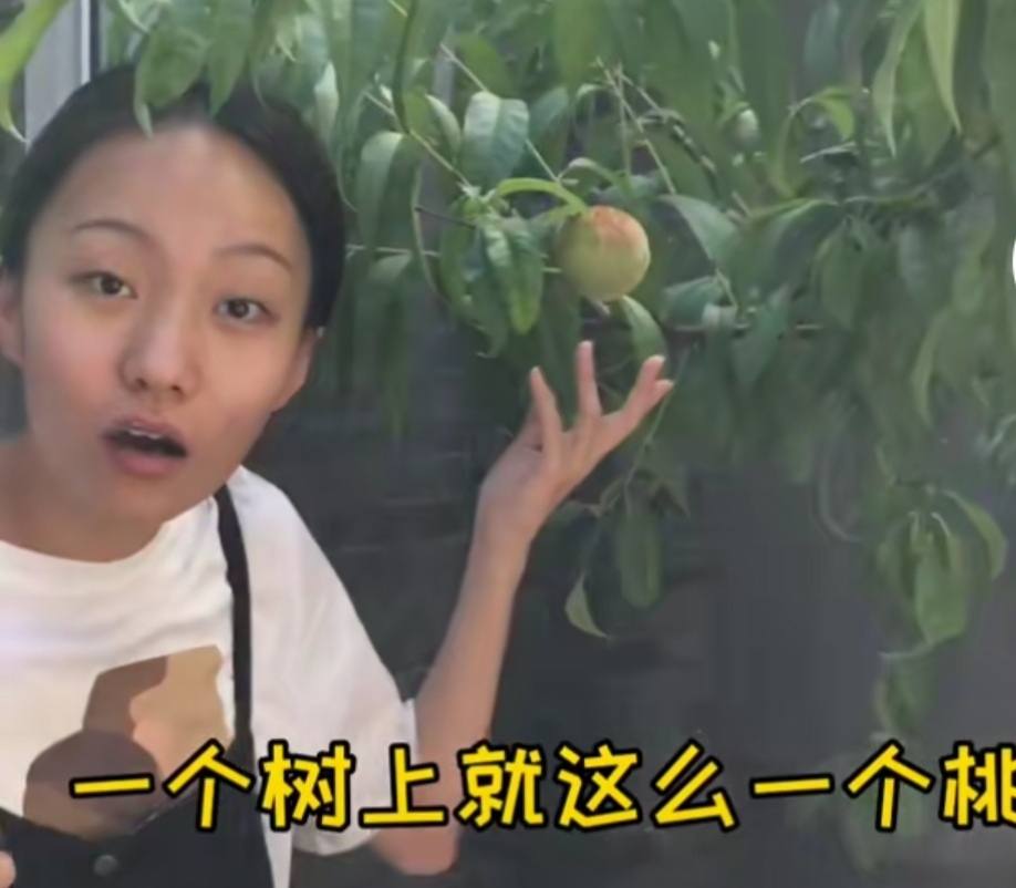 这位25岁的江苏女孩，北京的服务员和吉祥的工人现在成为互联网名人，年收入为3000万
