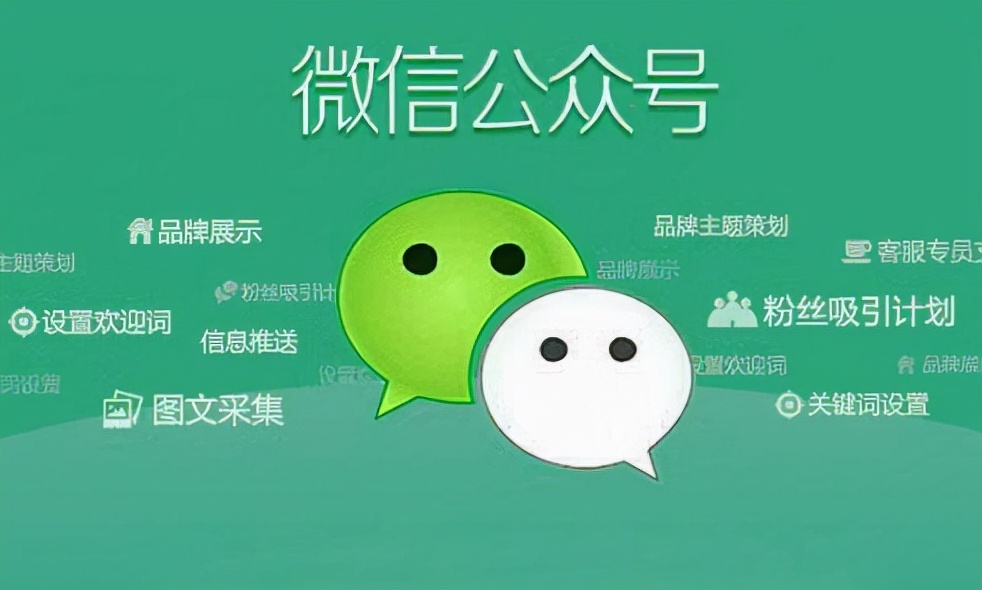个人微信订阅号怎么运营（新手如何运营个人公众号）(3)