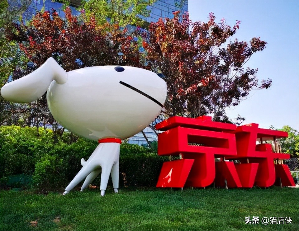 京东专营店入驻要求（京东入驻专营要达到什么要求）