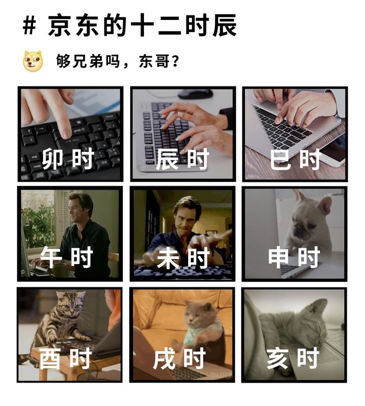 京东分拣员工资稳定吗（京东一线员工工资待遇）(1)